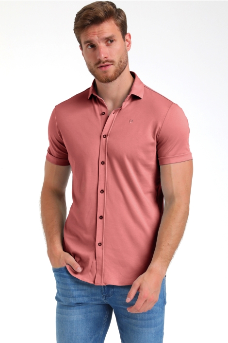 Gabbiano 335934